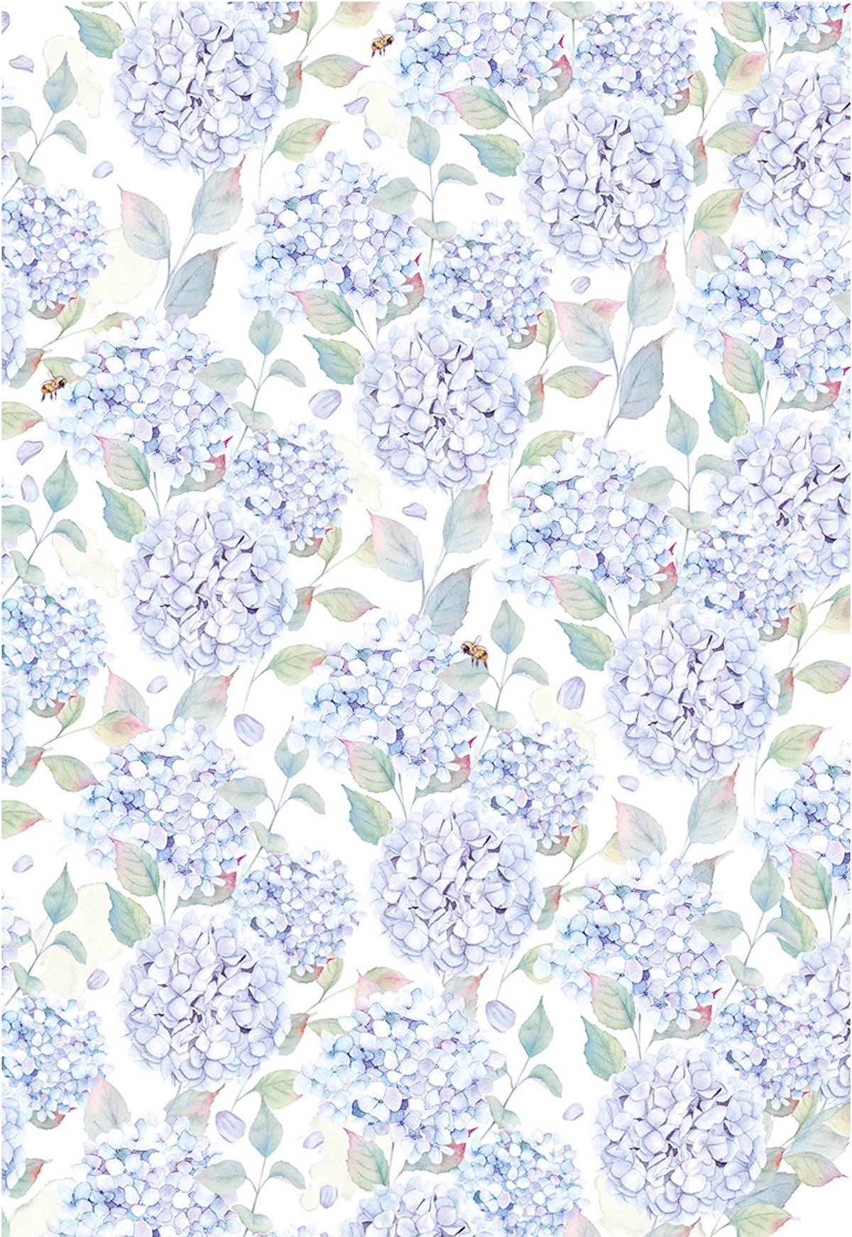 Ciao Bella Vellum Enchanted Land Blocs de Papier A4 6/Paquet