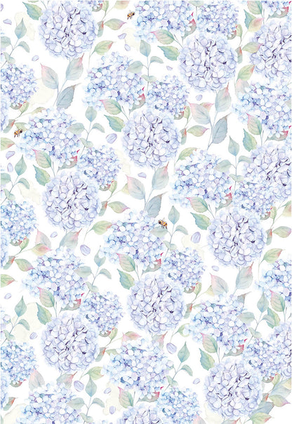 Ciao Bella Vellum Enchanted Land Blocs de Papier A4 6/Paquet