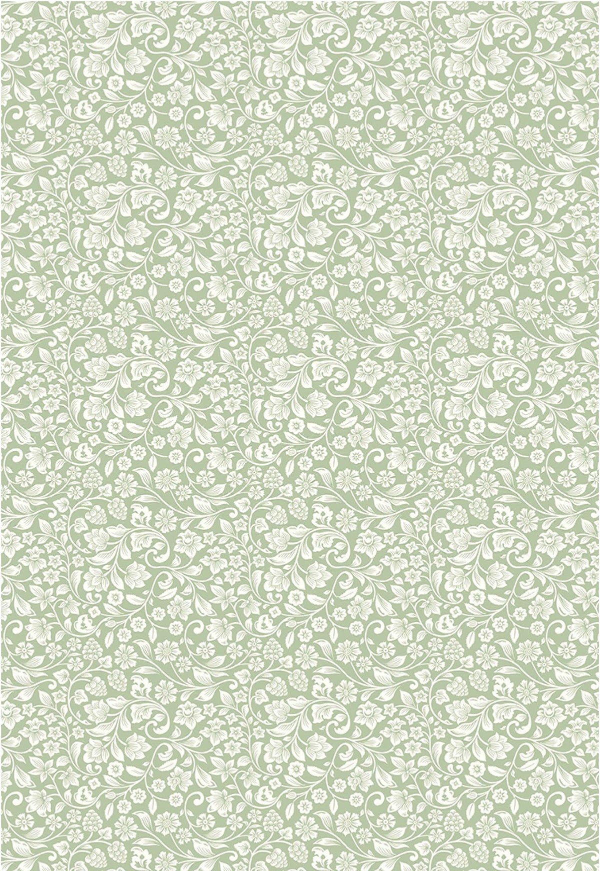 Ciao Bella Vellum Enchanted Land Blocs de Papier A4 6/Paquet