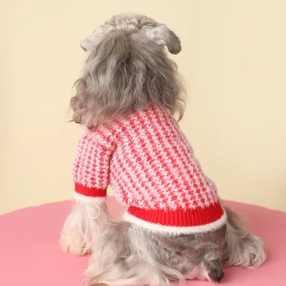 Pull douillet en maille Rosalinda pour chien | Pull chaud pour chien au quotidien