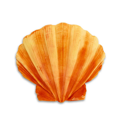 Clam Shell Silicone Mould