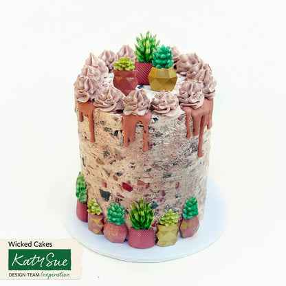 Succulent Pots Silicone Mould