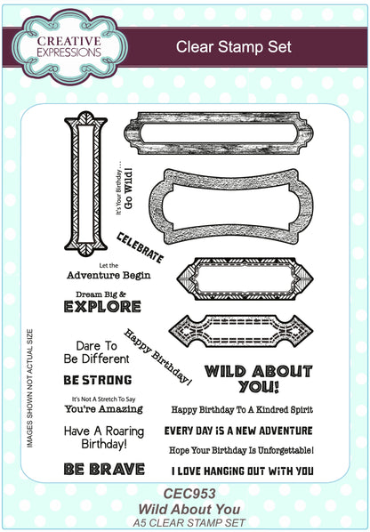 Set de tampons transparents A5 « Wild About You »