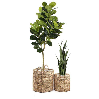 Cece - Cache-pot en jacinthe d'eau