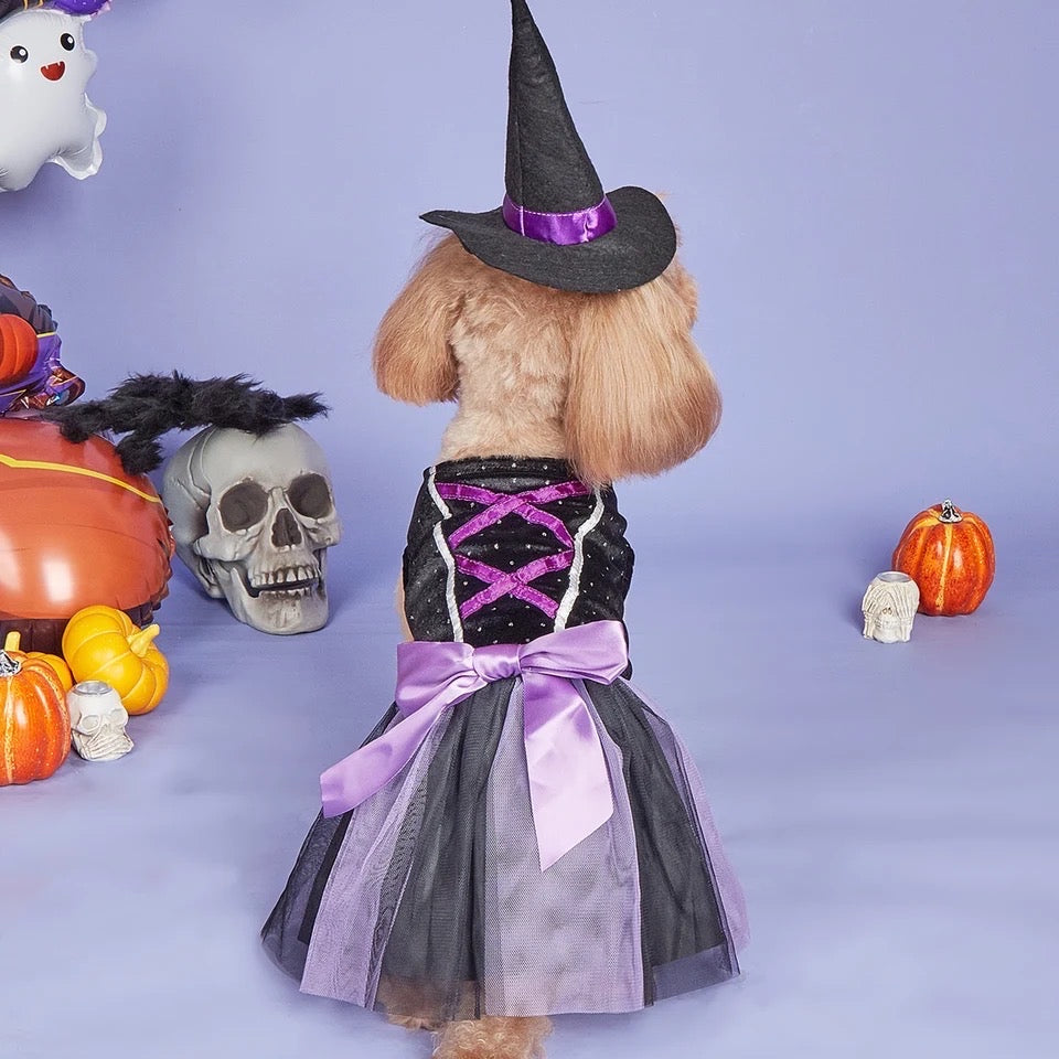 Witch Hat Dog Dress | Halloween Costume