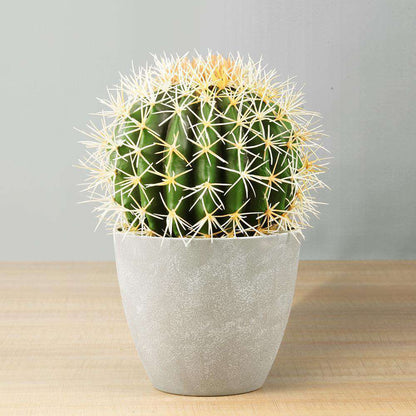 Plante Artificielle Coco Cactus en Pot 28 cm
