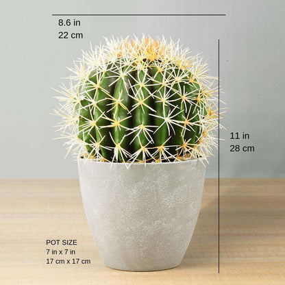 Plante Artificielle Coco Cactus en Pot 28 cm