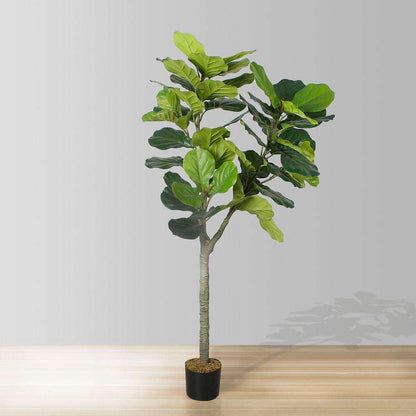 Plante artificielle Cora Fiddle Leaf en pot 5,5 pi