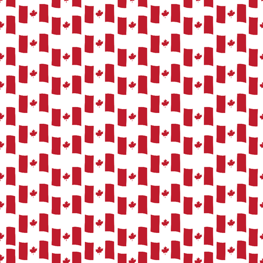 Motif drapeau canadien en HTV