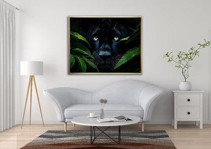 Wall Art-Rare Black Jaguar -Wildlife Canvas
