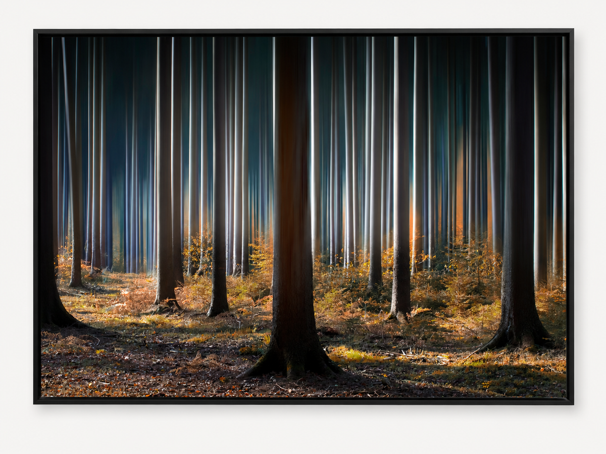 "Mystic Wood" Canvas Wall Art by Carsten Meyerdierks