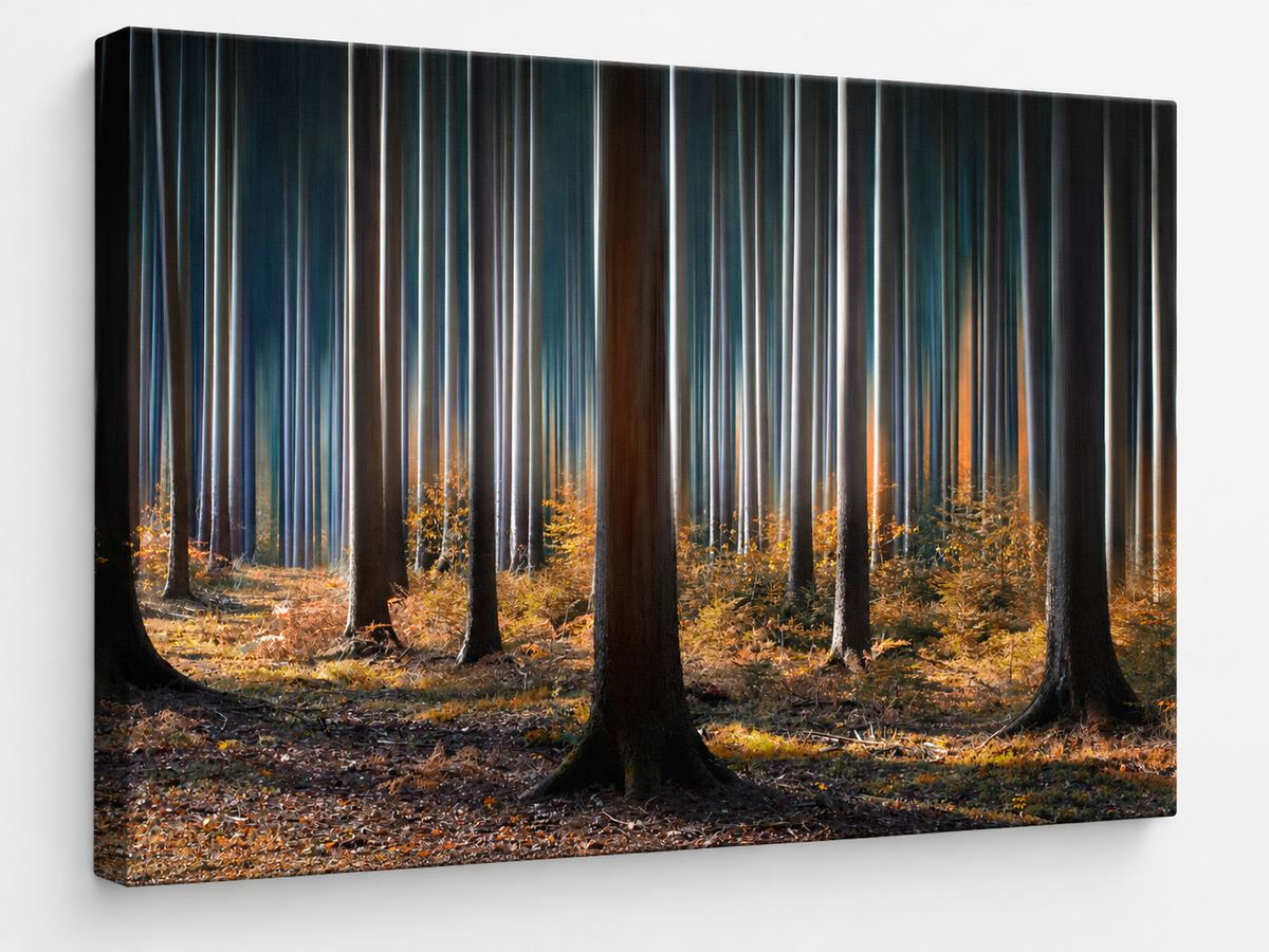 "Mystic Wood" Canvas Wall Art by Carsten Meyerdierks
