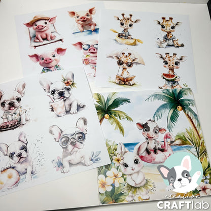 CCL Collage Éphémères Brise d'Été Essentiels 18 Pièces