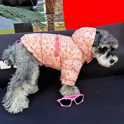 Spring Jacket