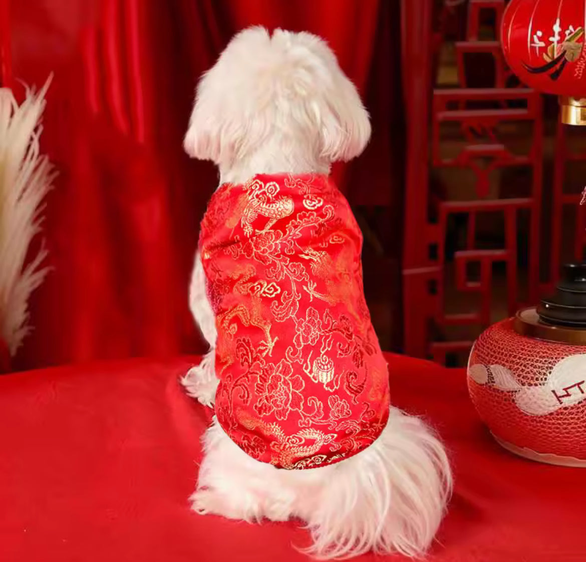 Chemise pour chien Nouvel An Chinois Lucky Bloom | Haut inspiré du Qipao Rouge et Or