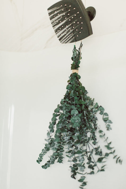 Bouquet de douche à l'eucalyptus