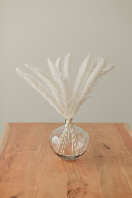 Mini-pampas