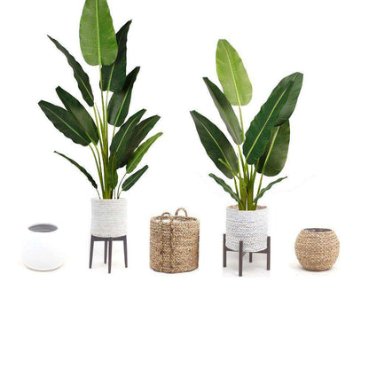 Palm Tree Artificiel En Pot Dani (Plusieurs Tailles)