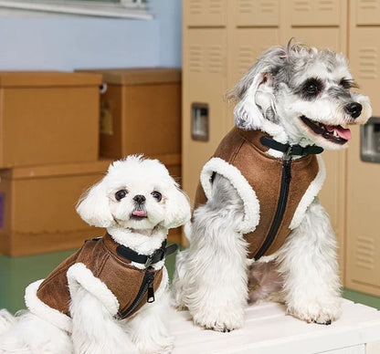 Vancouver Street Dog Vest | Classic Dog Vest Jacket