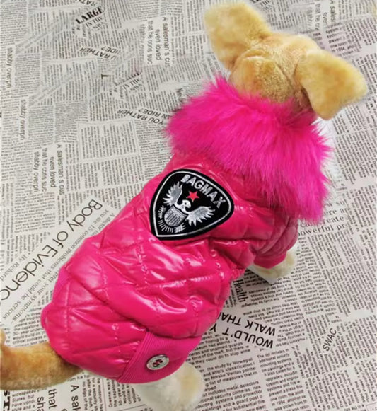 Veste Bomber pour Chien avec Capuche | Veste pour Chien pour Temps Froid
