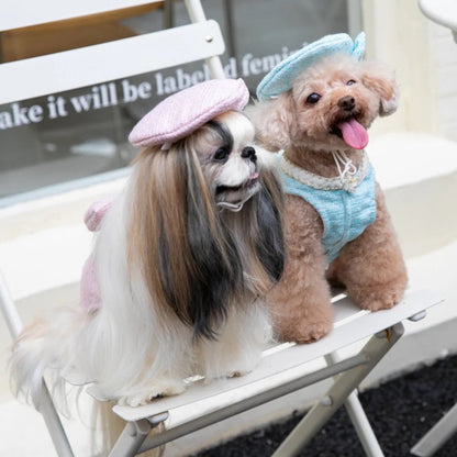 Ensemble robe et chapeau Paris pour chiens – Tenue élégante pour chiens