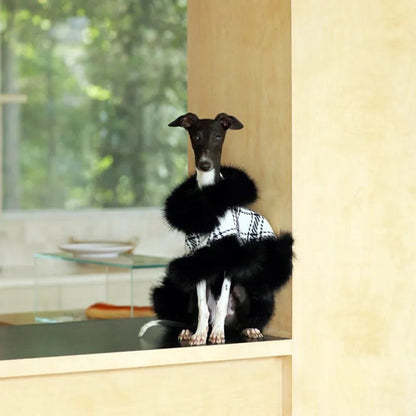 Dubai Dog Coat | Plaid Dog Coat
