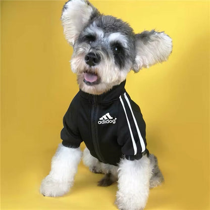 Veste Adidog pour chien | Veste pour chien pour temps froid