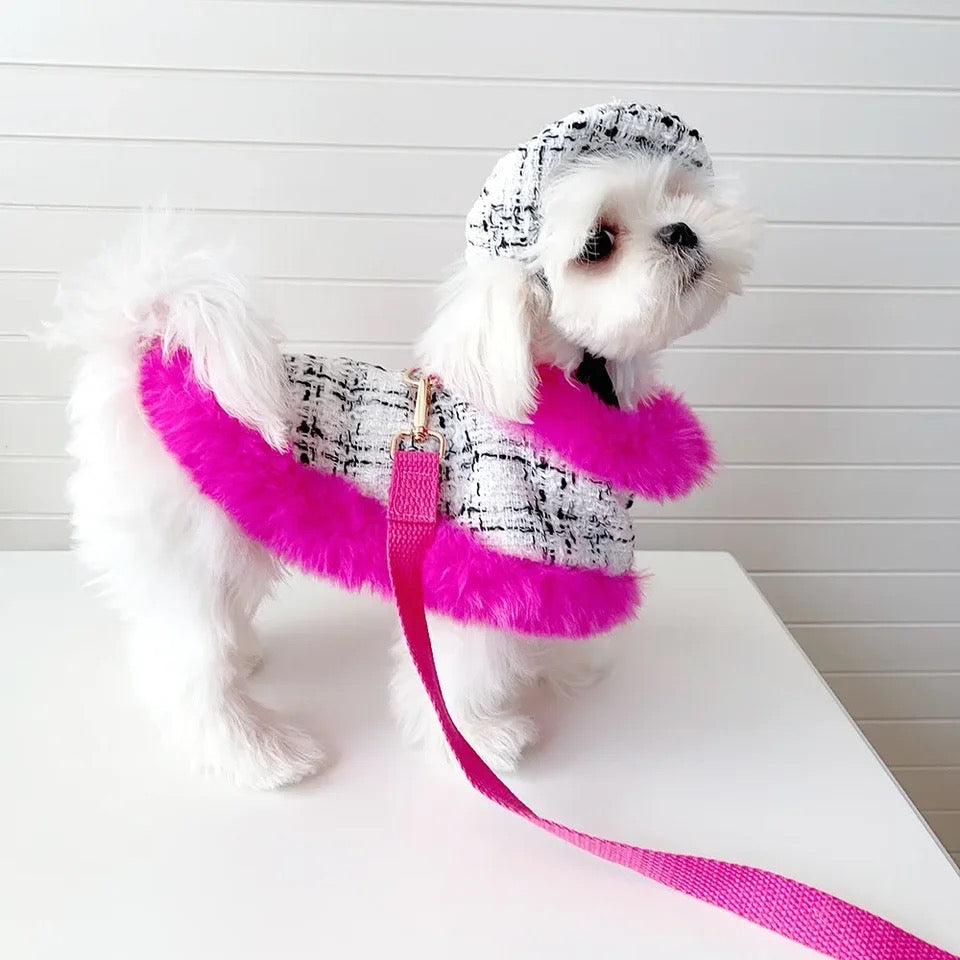 Ultra Violet Harness Set | Dog Harness Leash and Hat Set