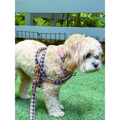 Elite One-Click Dog Harness