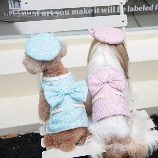 Ensemble robe et chapeau Paris pour chiens – Tenue élégante pour chiens