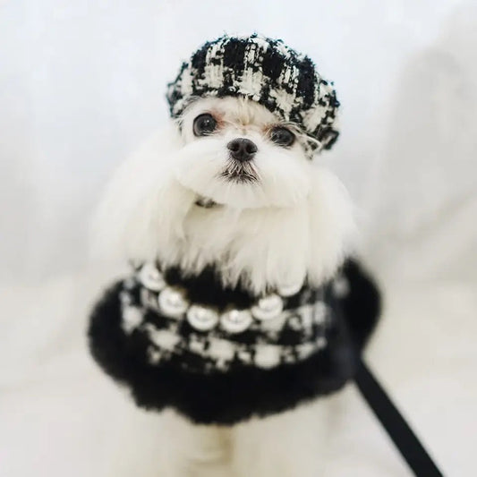 Grandmaster Tweed Dog Harness Set | Harness Hat and Leash Outfit