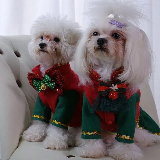 Noel Noel Christmas Dog Outfit | Holiday Shirt or Dress
