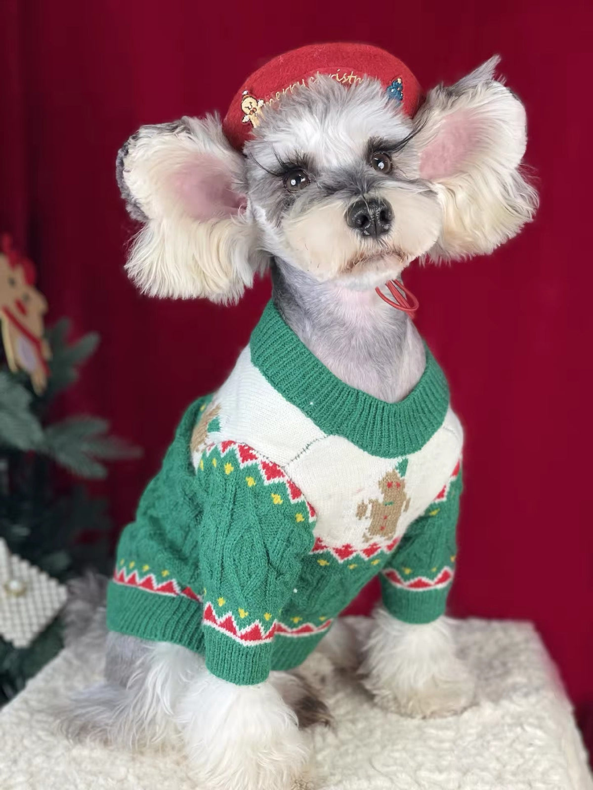Pull de Noël pour chien en pain d'épices – Tenue tricotée d'hiver pour chiens