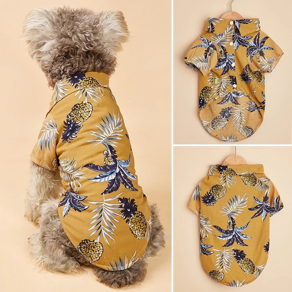 Chemise Derek