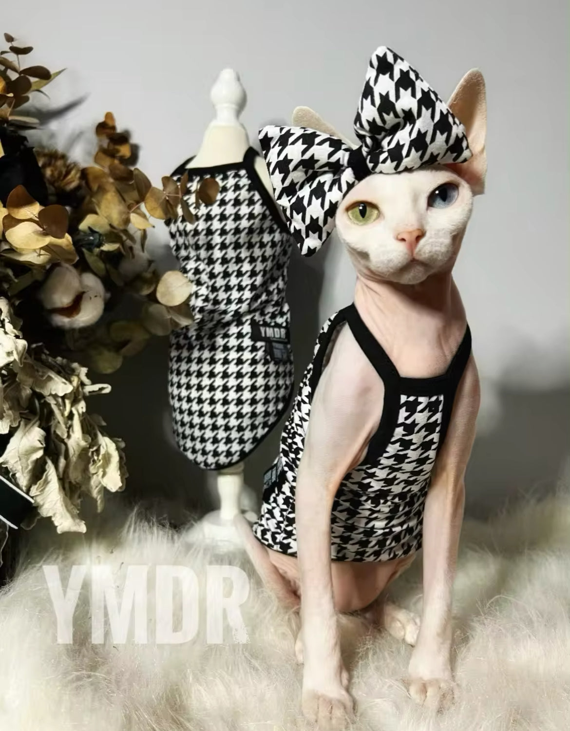 Robe pour chien Leona | Robe pour chien pour occasions spéciales