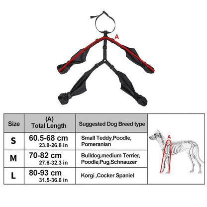 Dog Boots | Protective Paw Boots for Dogs