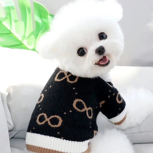 Pull pour chien Pucci – Tenue tricotée de luxe pour chiens