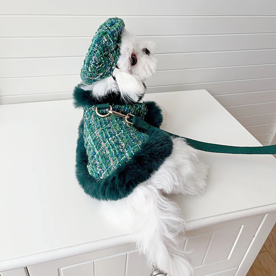 Evergreen Heritage Tweed Dog Harness Set | Harness Hat and Leash Outfit