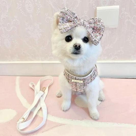 Dog Harness & Leash Set | Isabella Tweed Bow Walking Set