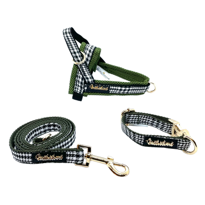 Fern dog leash with hands-free extension