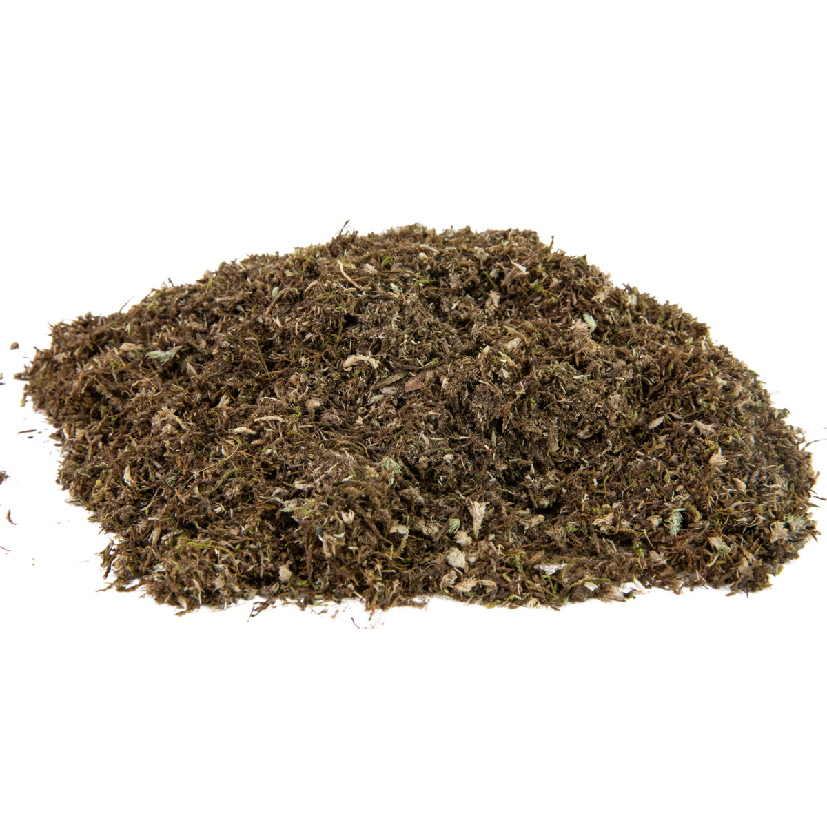 Native Boreal Mix Growable Moss for the Shade