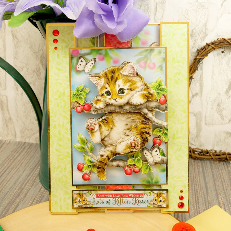 Bonjour la collection Deco-Large Designer du printemps