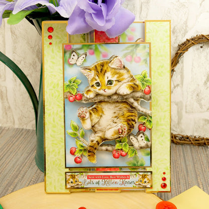 Bonjour la collection Deco-Large Designer du printemps