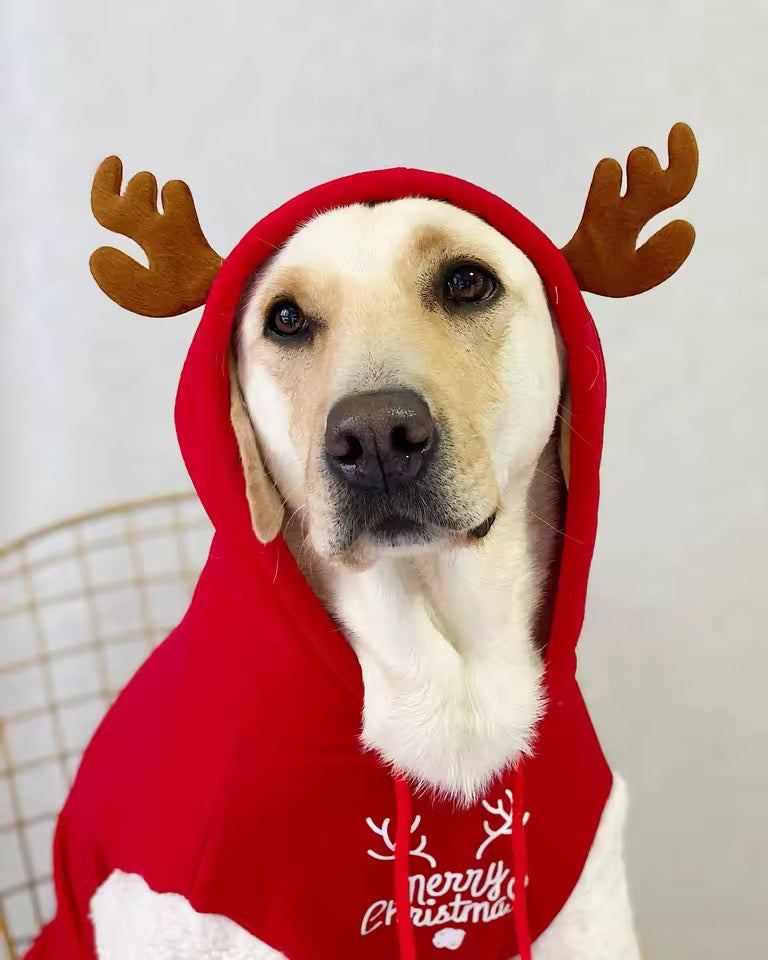 Sweat à Capuche Chien Renne Joyeux Noël – Pull de Fêtes Douillet Rouge et Blanc