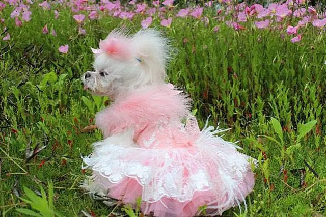Feather Tutu Dog Dress | Elegant Formal Dog Outfit