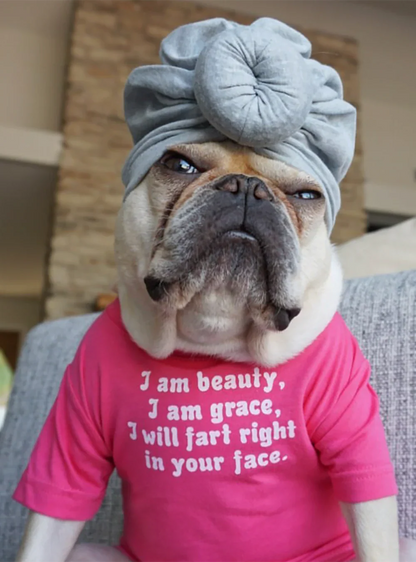 T-shirt drôle pour chien Rose | Je suis beauté, je suis grâce T-shirt pour chien