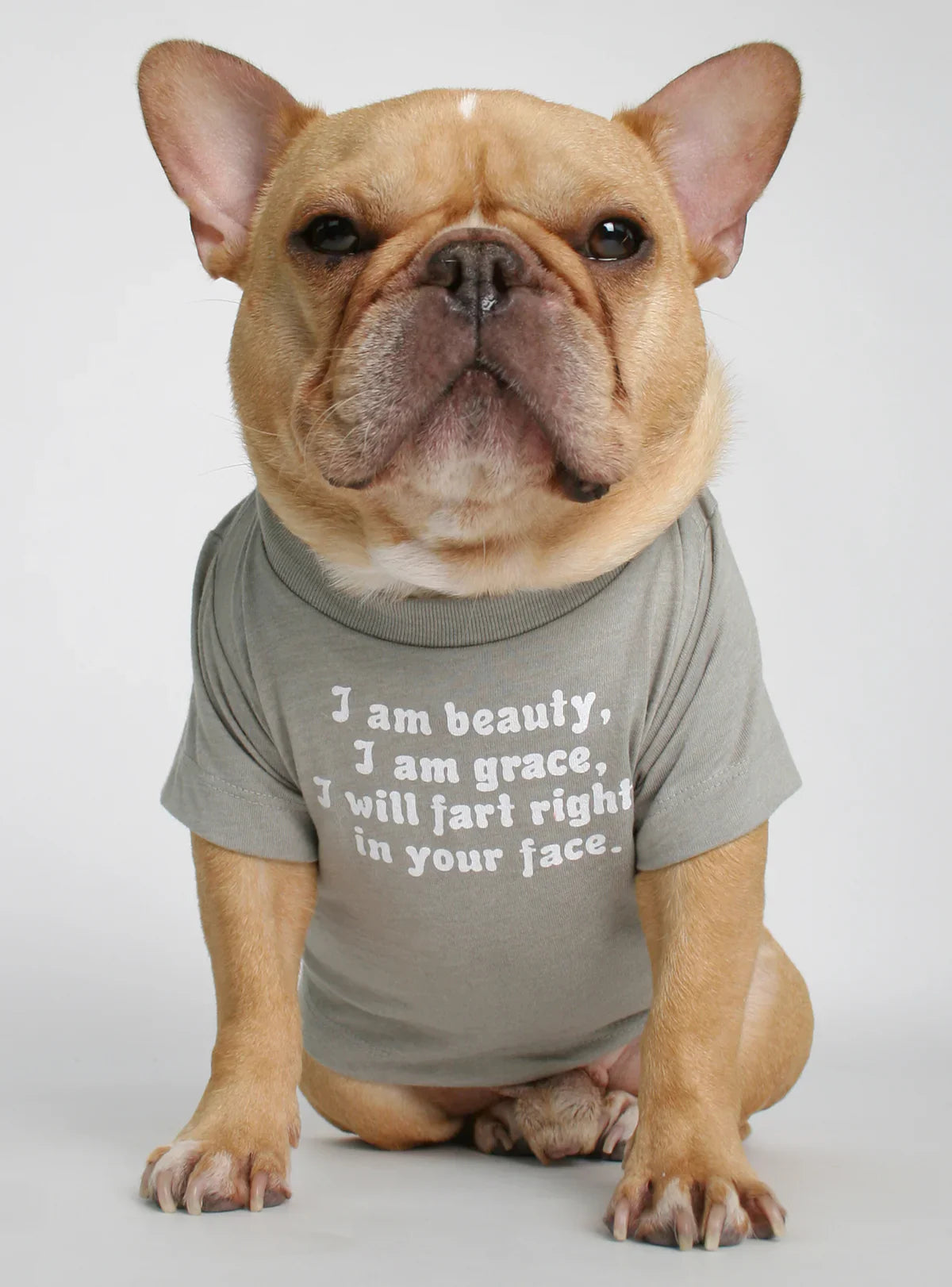 I Am Beauty I Am Grace I Will Fart Right In Your Face Dog Tee – Grey