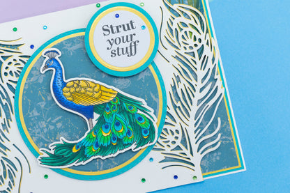 Graceful Plumes Metal Die Edge’able - Lucky Feathers
