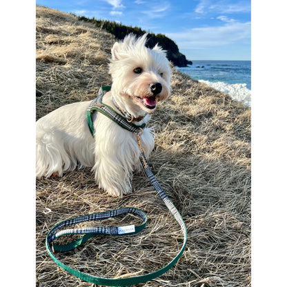 Fern dog leash with hands-free extension