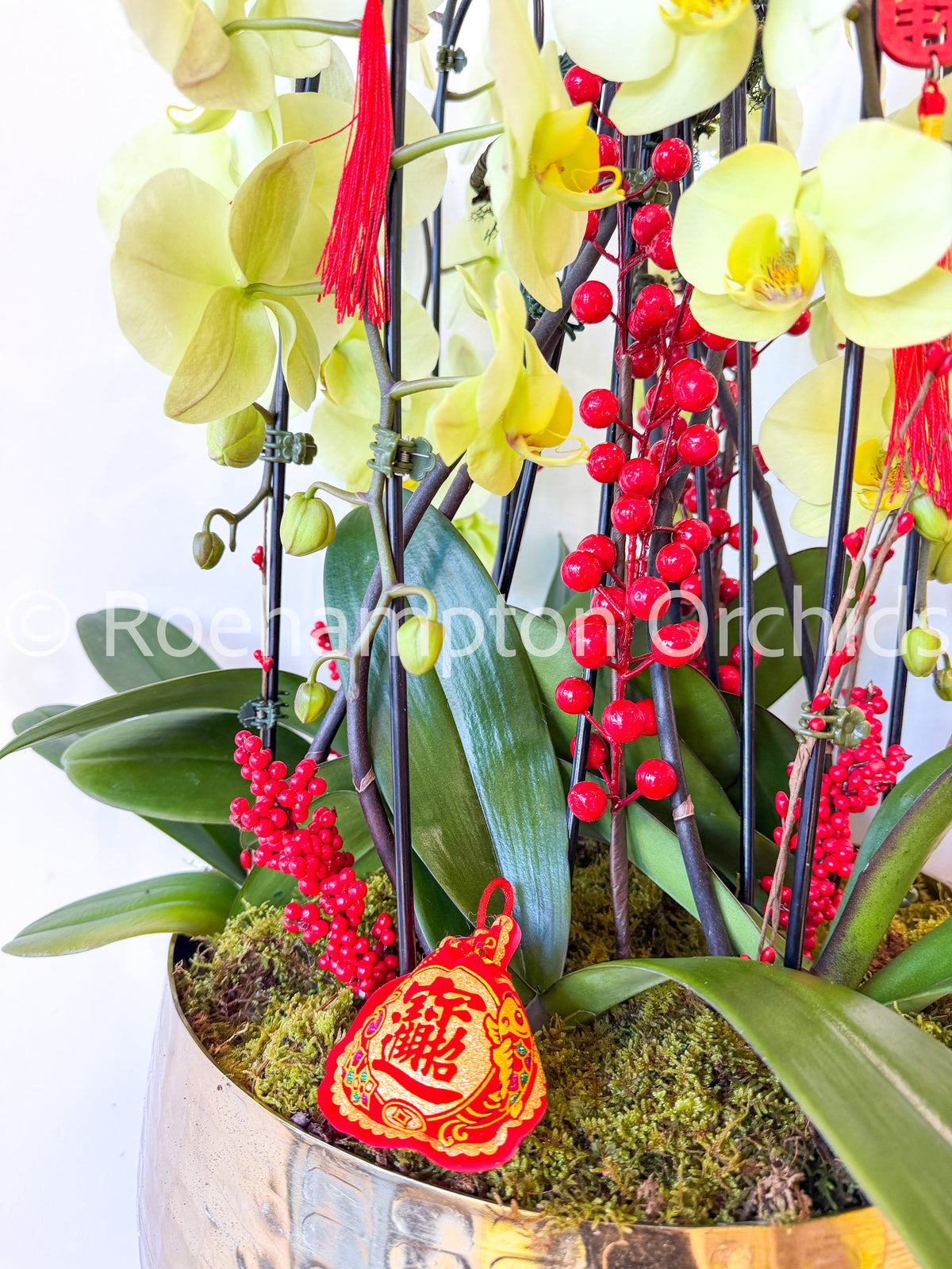 Golden Lucky Arrangement